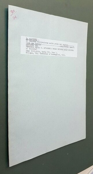 IL DEMODEX FOLLICULORUM SULLA PELLE DEI LEPROSI