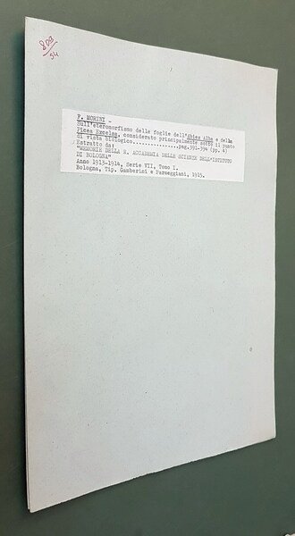 SULL'ETEROMORFISMO DELLE FOGLIE, DELL'ABIES ALBA e della PICEA EXCELSA, CONSIDERATO …