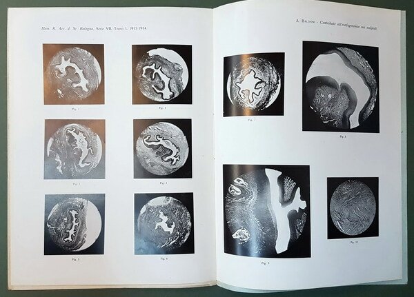 CONTRIBUZIONE ALLO STUDIO ANATOMICO DEL CAULE DELLE MENISPERMACEE