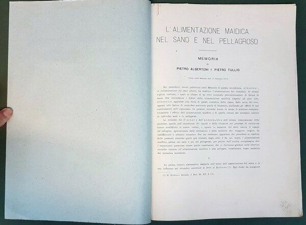 L'ALIMENTAZIONE MAIDICA NEL SANO E NEL PELLAGROSO