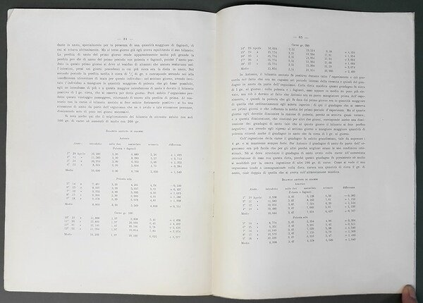 L'ALIMENTAZIONE MAIDICA NEL SANO E NEL PELLAGROSO
