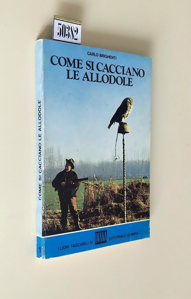 COME SI CACCIANO LE ALLODOLE