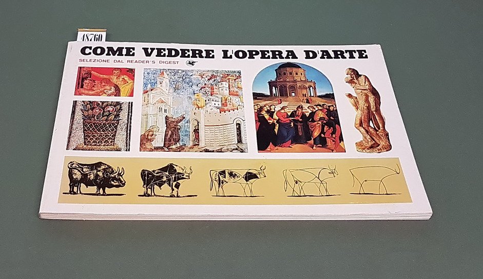 COME VEDERE L'OPERA D'ARTE