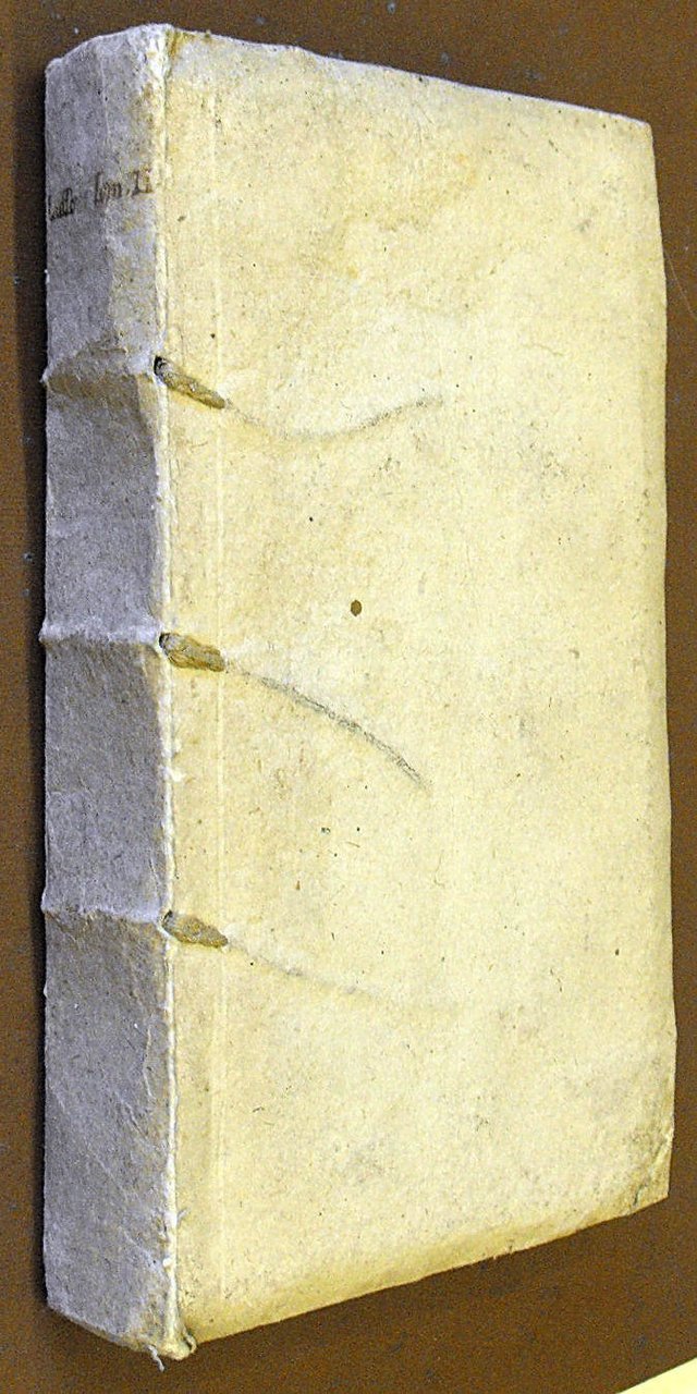 CONFERENZE ECCLESIASTICHE DELLA DIOCESI DI LUSSONE sull'Epistola di S. Paolo …