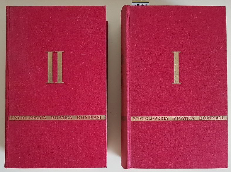 ENCICLOPEDIA PRATICA BOMPIANI - La Cultura, la vita civile, la …