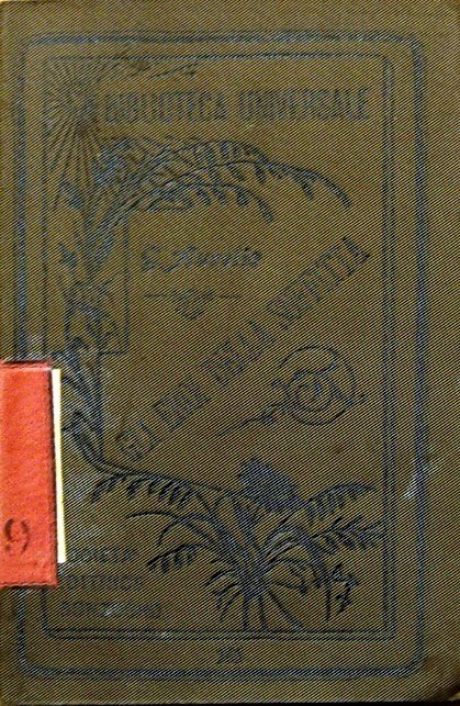 GLI EROI DELLA SOFFITTA e POESIE VARIE