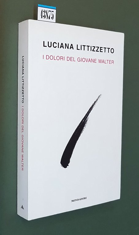 I DOLORI DEL GIOVANE WALTER