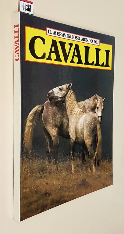 IL MERAVIGLIOSO MONDO DEI CAVALLI