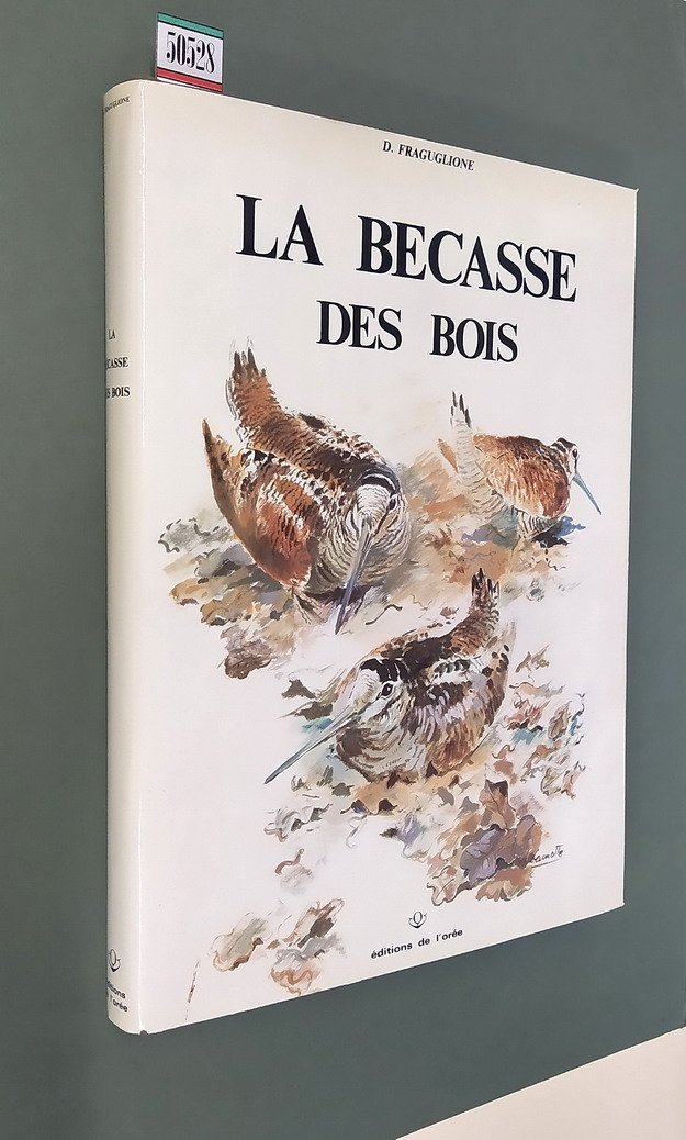 LA BECASSE DES BOIS (Scolopax rusticola)