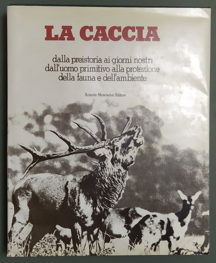 LA CACCIA dalla preistoria ai giorni nostri, dall'uomo primitivo alla … | Immagine principale