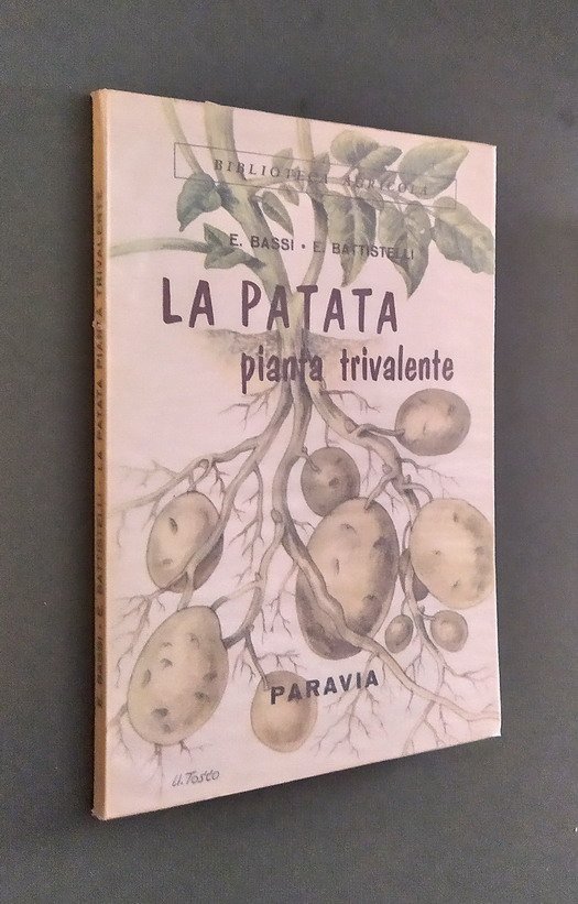 LA PATATA - PIANTA TRIVALENTE | Immagine principale