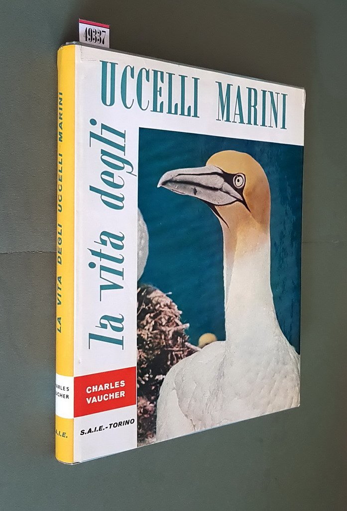 LA VITA DEGLI UCCELLI MARINI