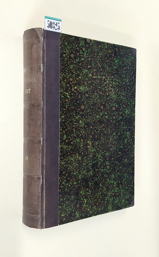 NUOVA ANTOLOGIA di scienze, lettere ed arti (Quarta Serie) - …