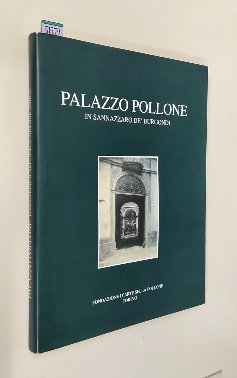 PALAZZO POLLONE IN SANNAZZARO DE' BURGONDI