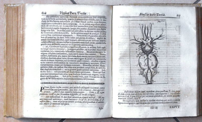 PHILOSOPHIA VETUS ET NOVA ad usum scholae accomodata, IN REGIA …