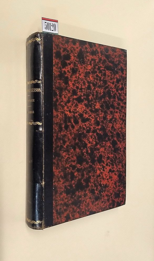 PRIMO STUDIO STUDIO DELLE PIANTE per il terzo e per …