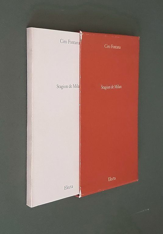 STAGION DE MILAN poesie milanesi | Immagine Gallery 1
