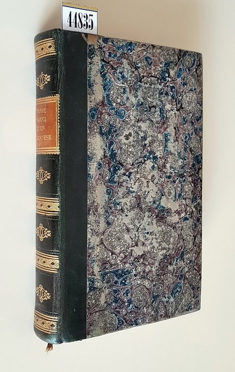 VIAGGI D'UN GENTILUOMO IRLANDESE IN CERCA DI UNA RELIGIONE