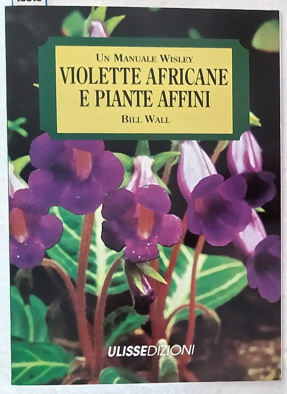 VIOLETTE AFRICANE E PIANTE AFFINI | Immagine principale