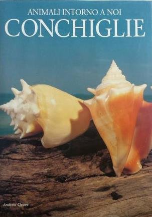 Animali intorno a noi. Conchiglie.