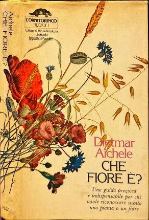 Che fiore è?