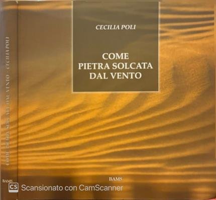 Come pietra solcata dal vento. | Immagine principale