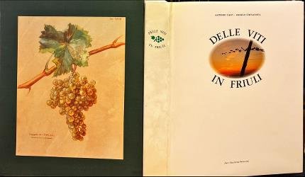 Delle viti in Friuli.