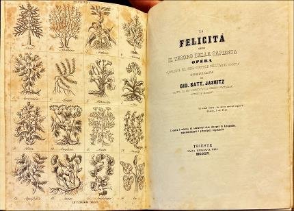 La felicità ossia il tesoro della sapienza.