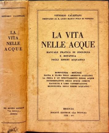 La vita nelle acque.