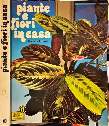 Piante e fiori in casa.