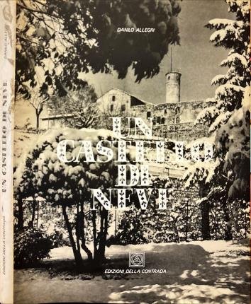 Un castello di neve.