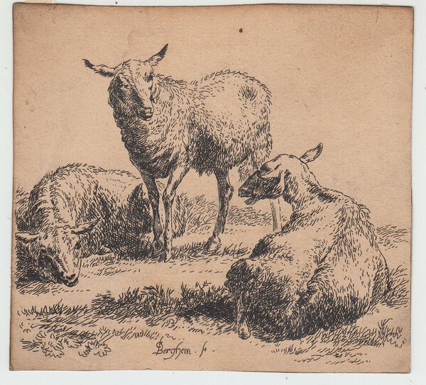 Nicolaes Pietersz Berchem (1620-1683), Animalia, Pecore