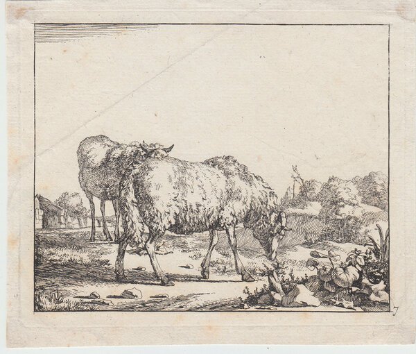 Nicolaes Pietersz Berchem (1620-1683), Animalia, Pecore
