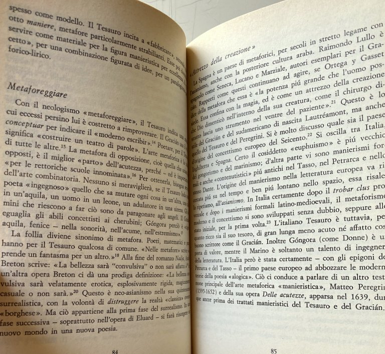 IL MANIERISMO NELLA LETTERATURA: ALCHIMIA VERBALE E ARTE COMBINATORIA ESOTERICA; …