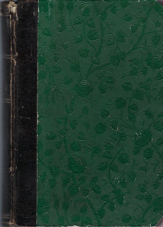 Guida del pellegrino divoto in Terra Santa