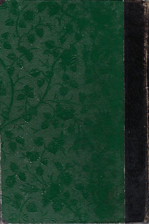 Guida del pellegrino divoto in Terra Santa