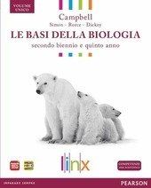 BASI DELLA BIOLOGIA. SECONDO BIENNIO E QUINTO ANNO VOL.UNICO.