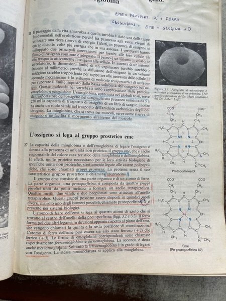 BIOCHIMICA