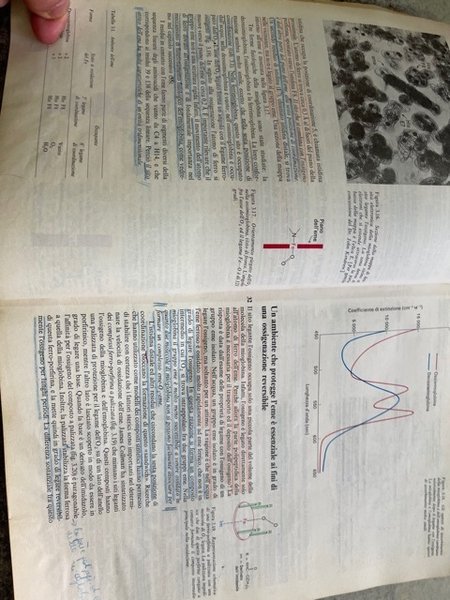 BIOCHIMICA