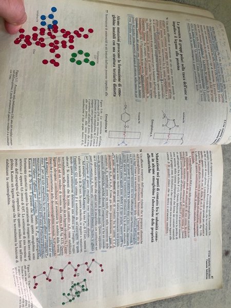 BIOCHIMICA