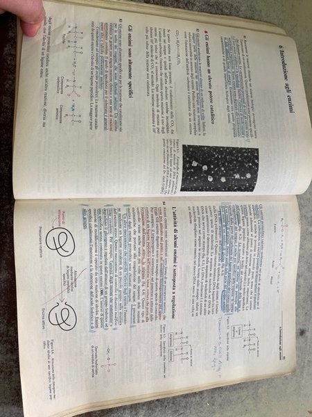 BIOCHIMICA