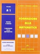 FORMAZIONE ALLA MATEMATICA - VOL. A1 X IPSIA
