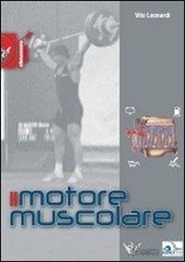 IL MOTORE MUSCOLARE