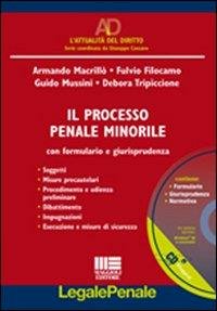 IL PROCESSO PENALE MINORILE CON FORMULARIO E GIURISPRUDENZA CD. 188