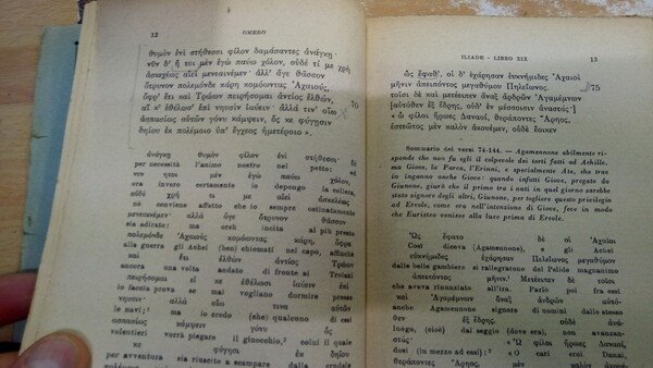 ILIADE LIBRO XIX TRADUTTORE INTERLINEARE