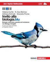 INVITO ALLA BIOLOGIA.BLU (LDM). BIOLOGIA MOLECOLARE, GENETICA, EVOLUZIONE