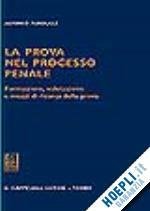 LA PROVA NEL PROCESSO PENALE. FORMAZIONE, VALUTAZIONE E MEZZI DI …