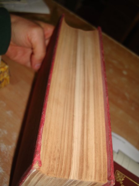 LA SACRA BIBBIA ( TINTORI PADRE EUSEBIO )