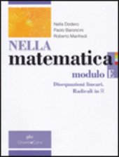 NELLA MATEMATICA - MODULO E