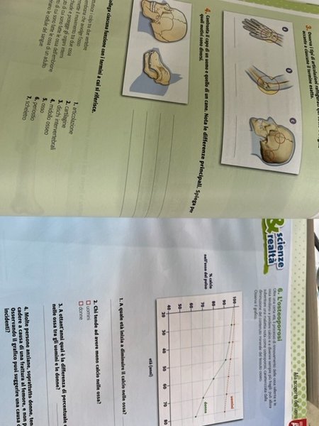 SCIENZE INTERATTIVE.
